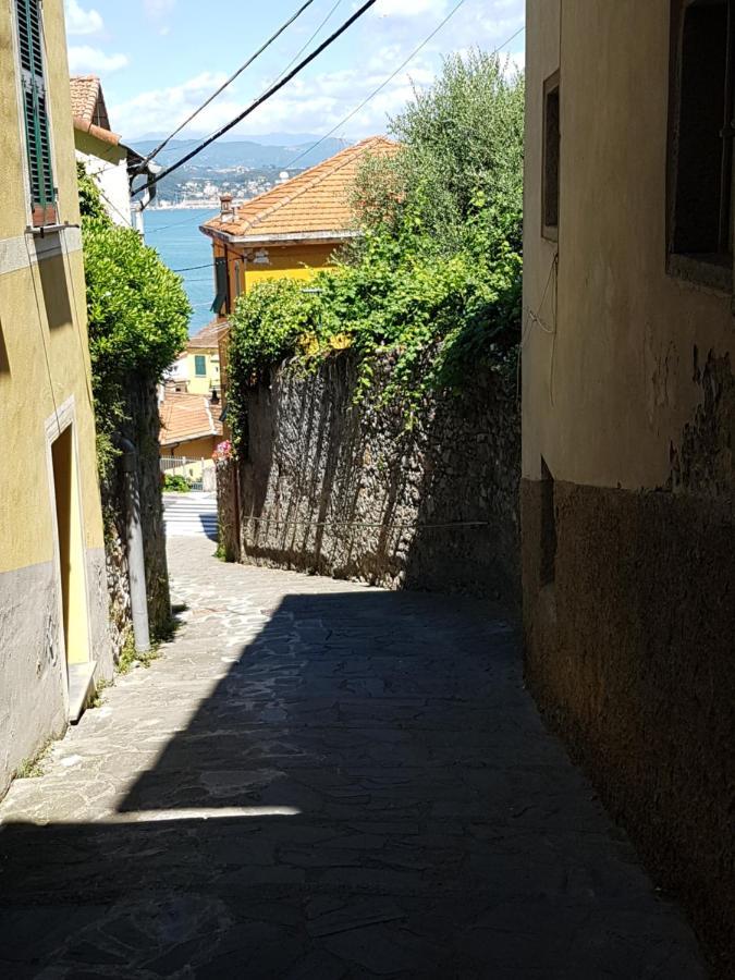 Bed and Breakfast Carugio Del Fezzano Экстерьер фото
